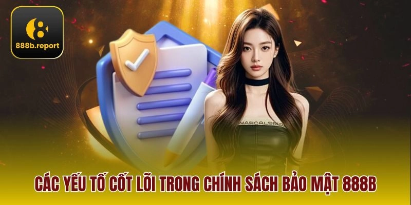 Các yếu tố cốt lõi trong chính sách bảo mật 888b
